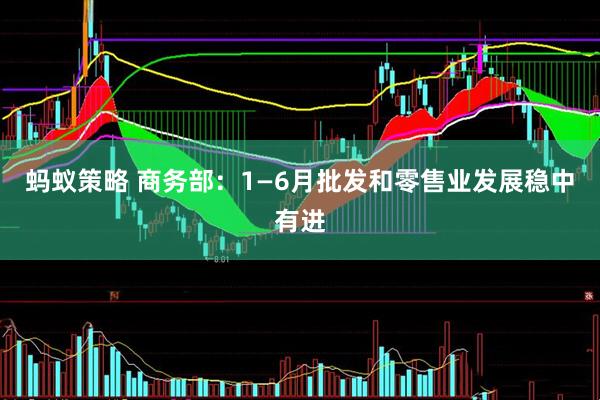蚂蚁策略 商务部：1—6月批发和零售业发展稳中有进