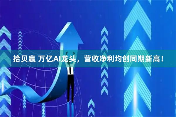 拾贝赢 万亿AI龙头，营收净利均创同期新高！
